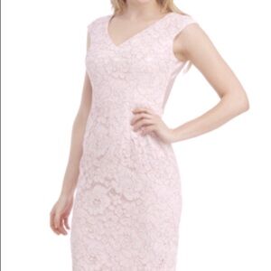Maggy London Pink Lace Midi Pencil dress Sz 4 ECU